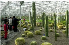 sightseeing greenhouse 