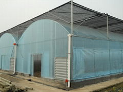 low cost price Plastic film greenhouse 