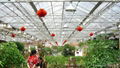 commercial greenhouse