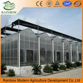 polycarbonate greenhouse for agriculture 