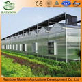 polycarbonate greenhouse for agriculture  2