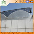 PO film greenhouse with hydroponics system 1