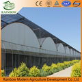 PO film greenhouse with hydroponics system 2