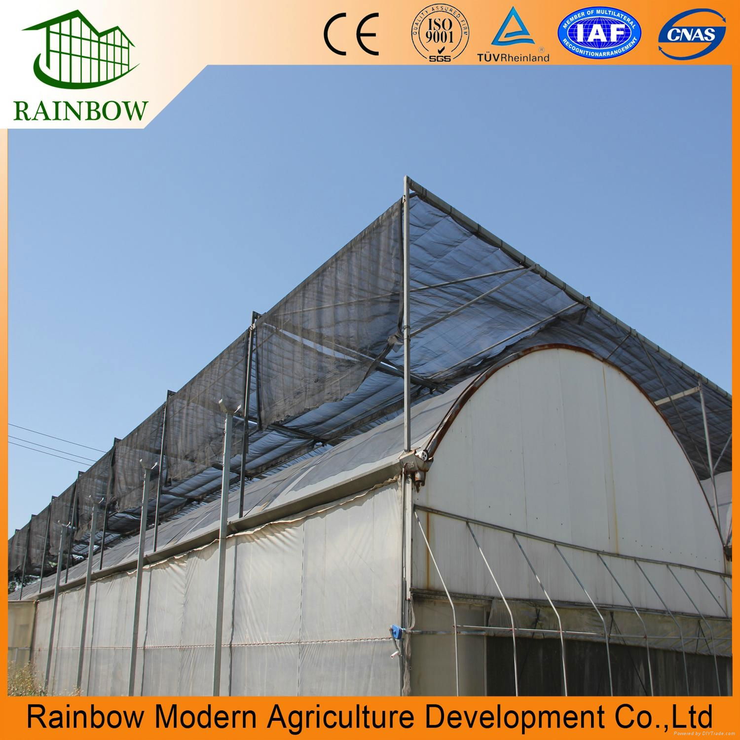 PO film greenhouse with hydroponics system 3