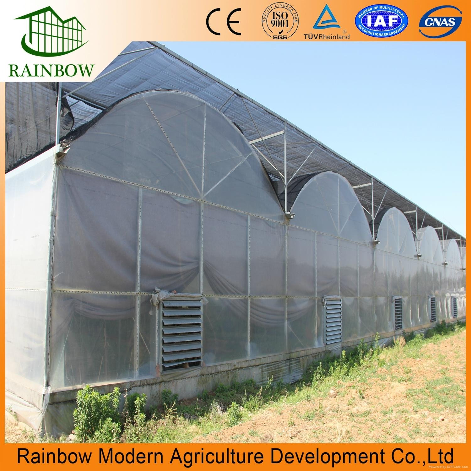 Agricultural Multi-Span film Greenhouse(ISO9001:2008) greenhouse 