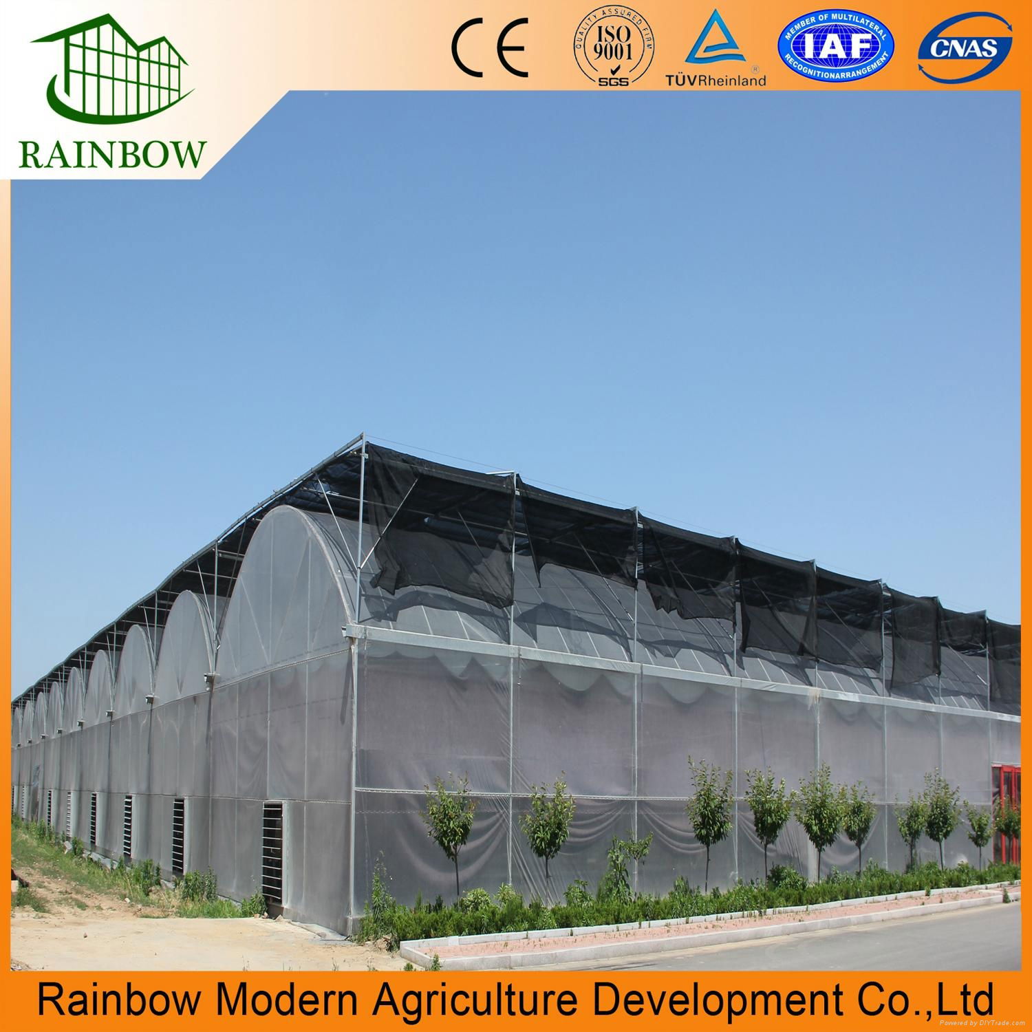 Agricultural Multi-Span film Greenhouse(ISO9001:2008) greenhouse  5