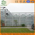 Tropical Multi Span Polycarbonate Sheet Greenhouse For Agriculture 2