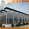 Tropical Multi Span Polycarbonate Sheet Greenhouse For Agriculture 5