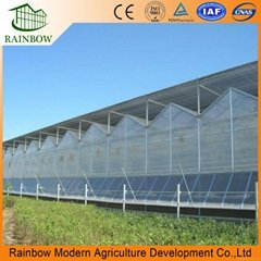 professional greenhouse supplier of customized PC sheet greenhouse