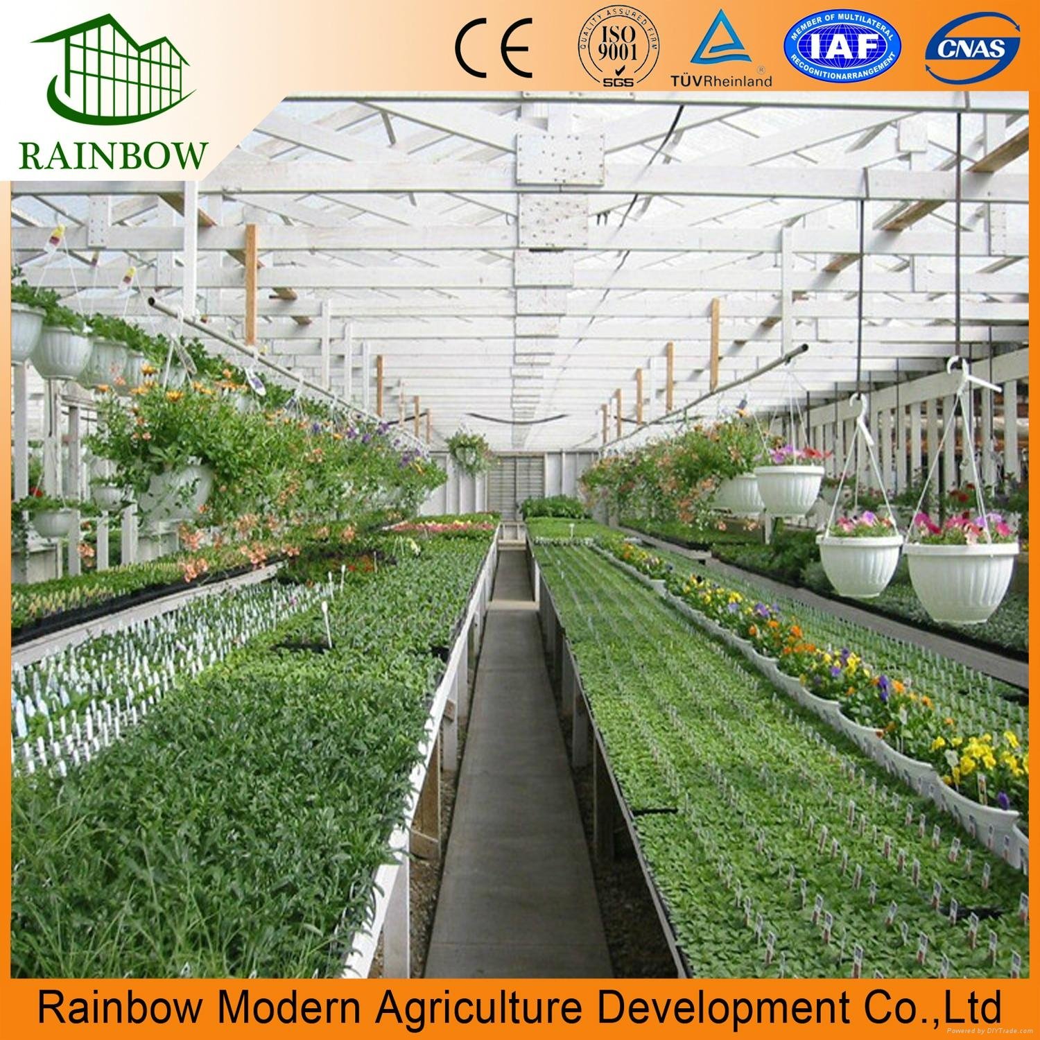 professional greenhouse supplier of customized PC sheet greenhouse 5