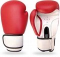 Boxing Gloves  1