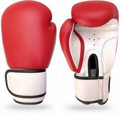 Boxing Gloves 