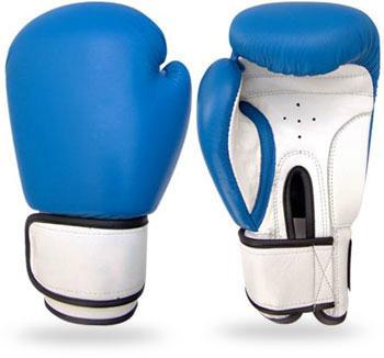 Boxing Gloves Boxing Equipments Levior impex