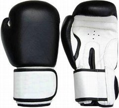 Boxing Gloves Boxing Equipments Levior impex