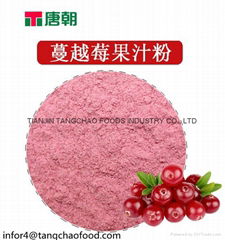 Natural cranberry powder fruit powder