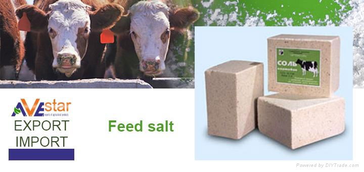 Feed salt for feed industry: milled, in briquettes