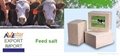 Feed salt for feed industry: milled, in briquettes