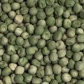 Green peas whole