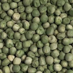 Green peas whole