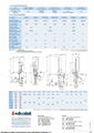 PHOENIX SERIES-SWING-ARM ROBOTS 2