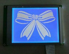 Grahpic LCM 320x240 LCD Modules