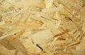 OSB(Oriented Strand Board) / SIP OSB 2