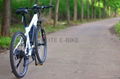 White new model bike electric power.36V 250W mountain bike 3