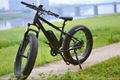 Electric fat bike with Tektro hydraulic brake, big power ebike 1