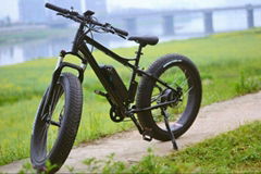 Electric fat bike with Tektro hydraulic brake, big power ebike