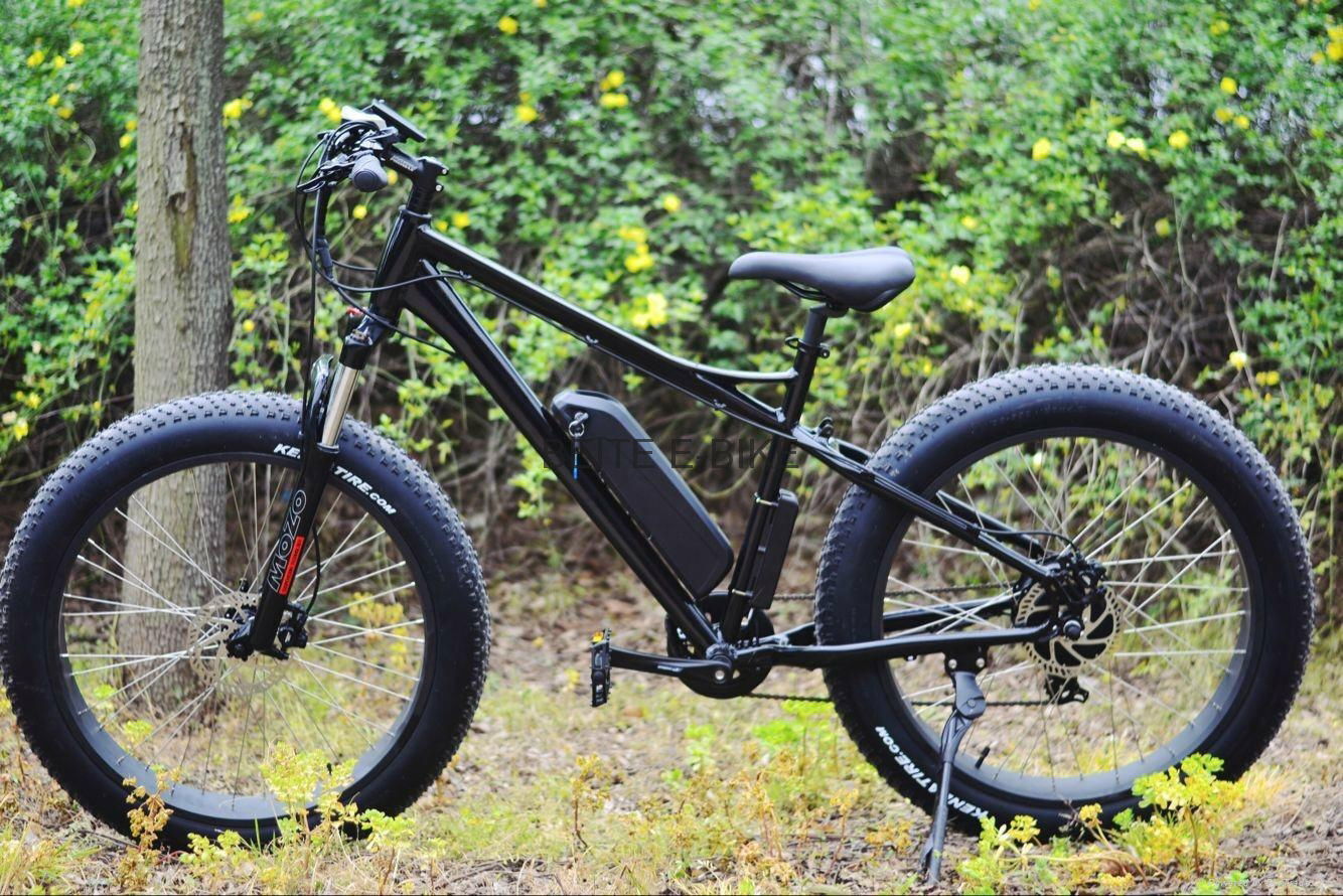 Electric fat bike with Tektro hydraulic brake, big power ebike 2