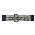 2017 Wide Elastic Belt in Snakeskin