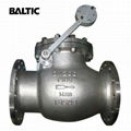 Swing Check Valves