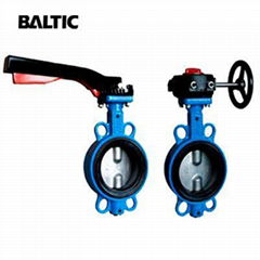 Cast Iron Butterfly Valves