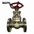 ASTM B148 C95800 Gate Valves