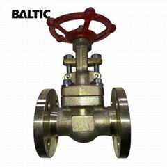 ASTM B148 C95800 Gate Valves