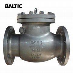 1.4408 Swing Type Check Valves