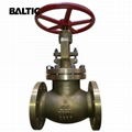 ASTM B148 C29800 Globe Valves 1