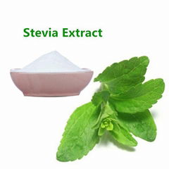 Stevia Leaf Extract