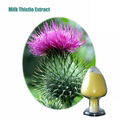 Milk Thistle Extract 1