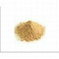 Best Quality Factory Supply Milk Thistle Extract Silymarin powder 80% 1