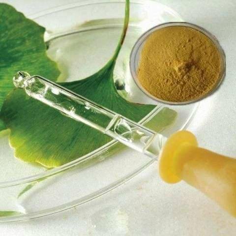 100% natural Ginkgo biloba leaf extract 1