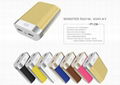 Private mould 26650 lifepo4 power bank