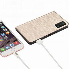 Sleek fashionable charger dual usb 10000mah Rohs lcd power bank