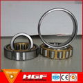 Cylindrical roller bearing from HGF bearing manufacturer