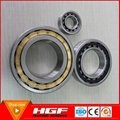 Cylindrical roller bearing from HGF bearing manufacturer 2