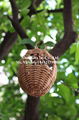 Wicker Nest Pockets- Suitale for Small Canaries and Finches - Pet Products (Vict