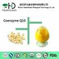 Coenzyme Q10