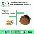 Organic Cordyceps Powder