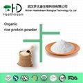 Organic rice protein powder