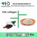 Fish Collagen